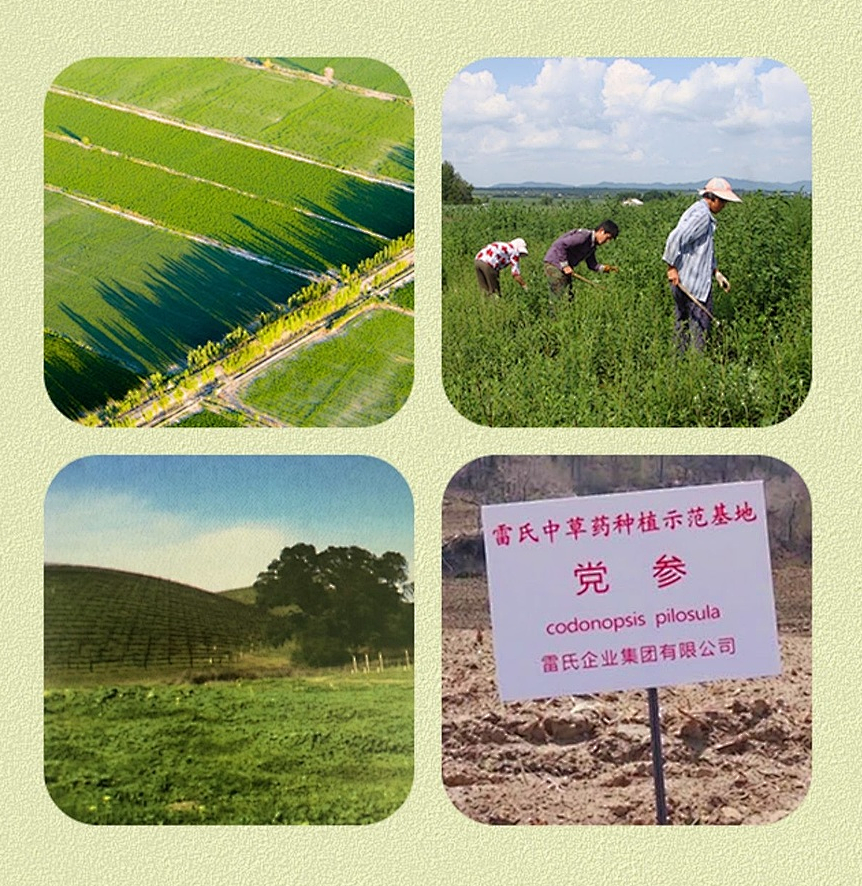 微信图片_20210719170508.jpg 图片